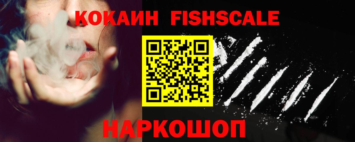 APVP Кировск