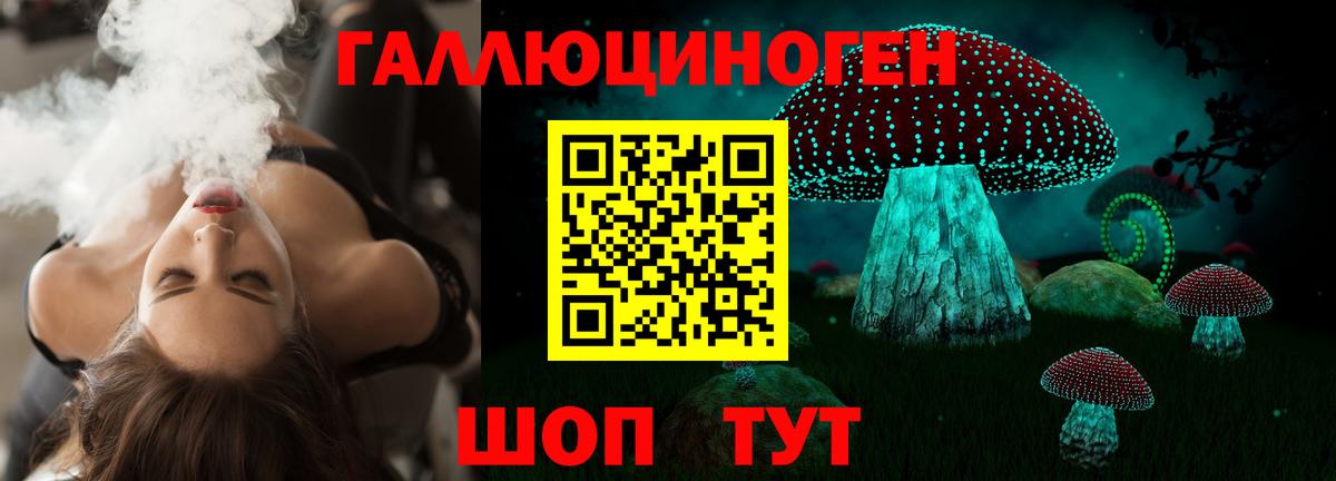 Галлюциногенные грибы прущие грибы  Вход с VPN  Кировск  Галлюциногенные грибы Cubensis 
